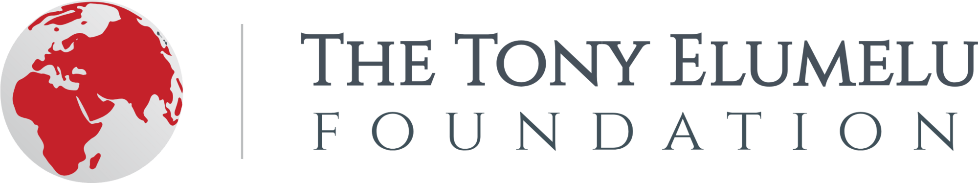 Tony Elumelu Foundation
